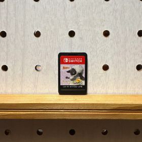 ルーンファクトリー5 ソフトのみ