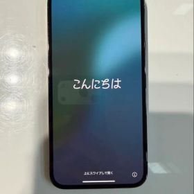 Apple iPhone 13 Pro Max本体