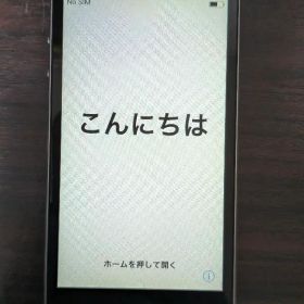 iPhone 5s 32GB 背面カメラ不良 動作品