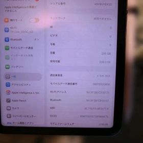 iPad mini（A17 ）Wi-Fi + Cellular 256GB