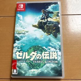 ゼルダの伝説 ティアーズ オブ ザ キングダム Switch