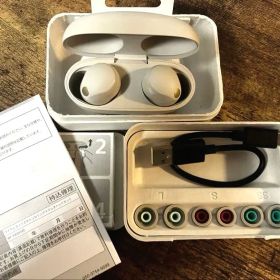 【美品】SONY WF-1000XM5 シルバー ワイヤレスイヤホン