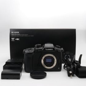 Panasonic LUMIX GH5 DC-GH5 ボディ ブラック 〔マイクロフォーサーズマウント〕