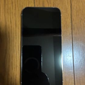 Apple iPhone 13 Promax 本体