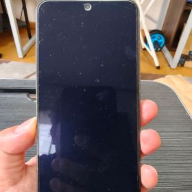 Xiaomi15