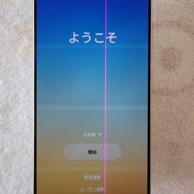 Galaxy S24 Ultra 256GB 物理SIMx2/無音可能/難あり