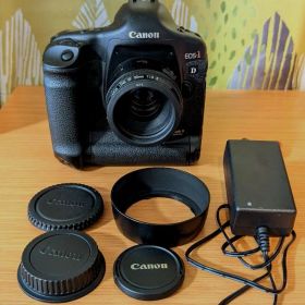 CANON EOS-1D Mark II + EF50mm F1.8 II