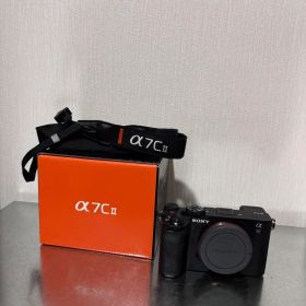 SONY a7cii α7cⅡ 文章必読
