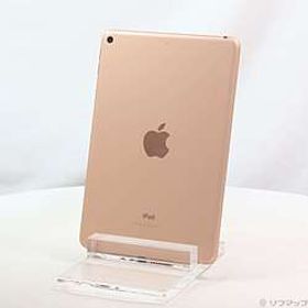 iPad mini 2019 (第5世代) 256GB 中古 22,000円 | ネット最安値の価格