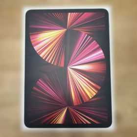Apple 11インチ iPad Pro 第3世代 1TB Wi-Fi