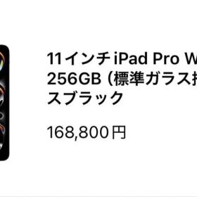 Apple iPad Pro 11インチ Wi-Fi 256GB スペースグレー