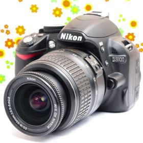 ニコン Nikon D3100☆スマホに転送♪☆ガイドモード☆初心者おススメ！