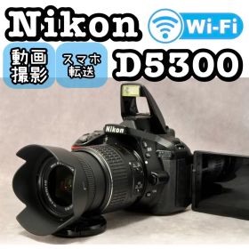 Nikon D5300 ❤️動作確認済 スマホ転送 ニコン デジタル一眼レフカメラ