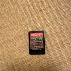 マインクラフト Switch カセット