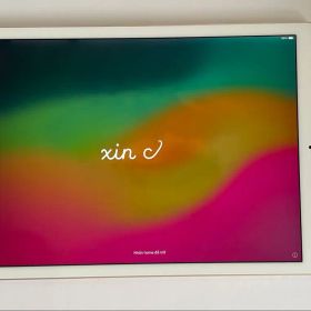 iPad Pro 12.9 第2世代 256GB Apple Pencil付