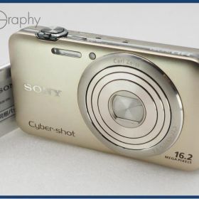 【動作保証】 SONY ソニー Cyber-shot DSC-WX30 バッテリーのみ付属 同梱無料 #i10960
