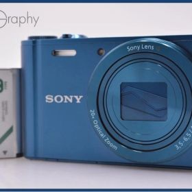 【動作保証】 ソニー SONY Cyber-shot DSC-WX300 20X バッテリー付属 同梱無料 #ks370