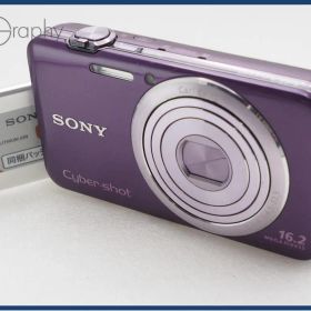SONY ソニー Cyber-shot DSC-WX30 バッテリーのみ付属 同梱無料 #i11104