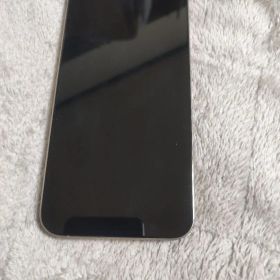 Apple iPhone 15 Pro Max 本体