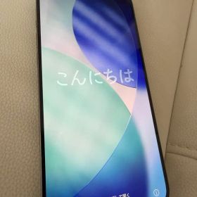 【美品】iPhone 15 pro max 256GB 本体 箱、ケーブル付