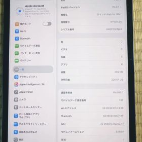 Apple 11インチ iPad Pro M4 本体 256GB