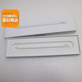 新品未使用 Apple Pencil USB-C ホワイト Apple Pencil Apple 即日発送 あすつく 土日祝発送OK
