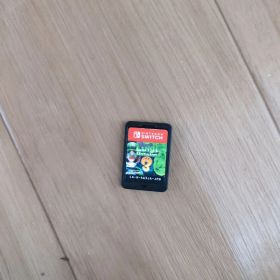槐*安様 Nintendo Switch ルイージマンション3 ソフトのみ