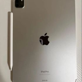 iPad Pro 第4世代 128GB Cellular