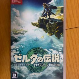 ゼルダの伝説 ティアーズ オブ ザ キングダム