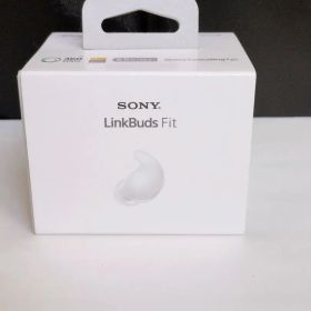 Sony LinkBuds Fit WF-LS910N イヤホン M3078