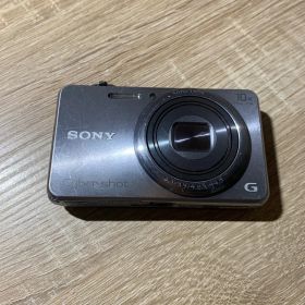 1861 Sony Cyber-Shot DSC-WX200 シルバー 動作確認済み デジカメ【ネ】