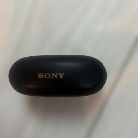 SONY WF-1000XM5