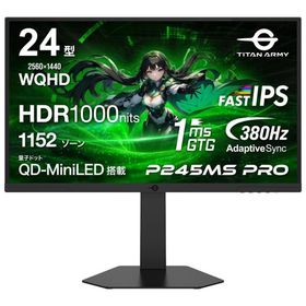Titan Army｜タイタンアーミー ゲーミング液晶ディスプレイ(24型/ FAST IPS/ WQHD 2560×1440/ 380Hz/ 1ms)(ブラック) P245MS PRO 返品種別A