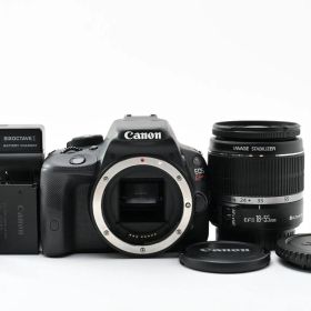 ★極上品★ 《ショット数 10318回》 キヤノン CANON EOS Kiss X7 + EF-S 18-55mm F3.5-5.6 IS #2386
