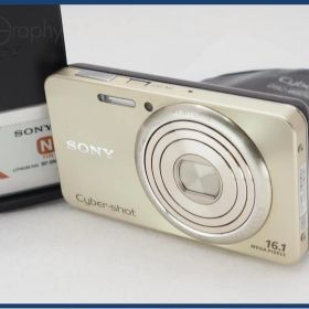 【動作保証】 SONY ソニー Cyber-shot DSC-W570 バッテリー&充電器付属 同梱無料 #i11318