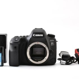 新品級★Canon EOS 6D Mark II★シャッタ数2659枚 #760