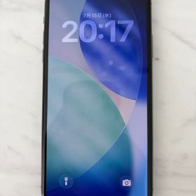 Apple iPhone 11 Promax 本体 256gb