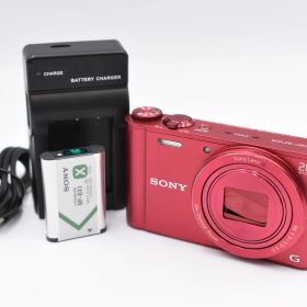 Sony ソニー Cyber-shot DSC-WX300 コンパクトデジタルカメラ (153)