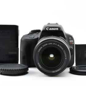 ★極美品★ 《ショット数 491回》 キヤノン CANON EOS Kiss X7 + EF-S 18-55mm F3.5-5.6 IS #2443