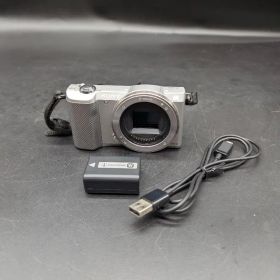 【動作確認済】SONY α5000 ミラーレス一眼 本体