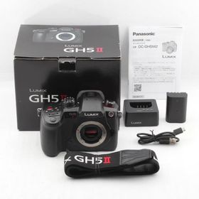 パナソニック(Panasonic) ミラーレス一眼カメラ ルミックス GH5M2 ボディ ブラック DC-GH5M2
