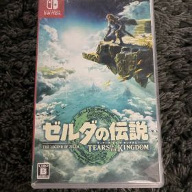 ゼルダの伝説 ティアーズ オブ ザ キングダム Switch