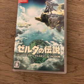 ゼルダの伝説 ティアーズ オブ ザ キングダム