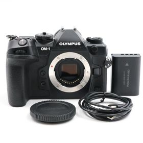シャッター数15880枚 OLYMPUS OM SYSTEM OM-1 ボディ ブラック ミラーレス一眼カメラ オリンパス