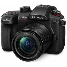 パナソニック Panasonic ミラーレス一眼カメラ(レンズキット)ブラック LUMIX DC-GH5M2M 標準ズームレンズキット