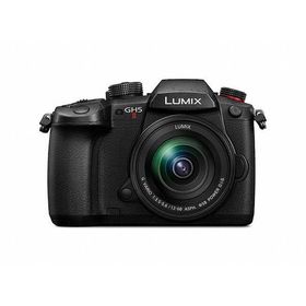 中古 １年保証 美品 Panasonic LUMIX GH5II 標準ズームレンズキット ブラック [DC-GH5M2M]