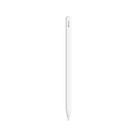 Apple Apple Pencil アップルペンシル （第2世代） 2024モデル MXN43J/A（MU8F2J/A後継） アップル純正 日本国内正規品
