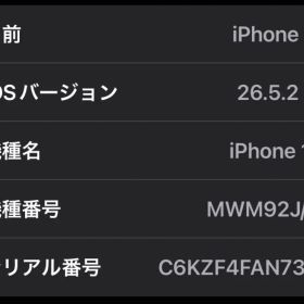 Iphone11 256GB SIMフリー