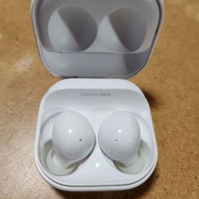 Samsung Galaxy Buds2 本体