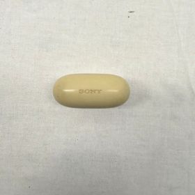 SONY WF-LS900N ワイヤレスイヤホン 本体 動作確認済み